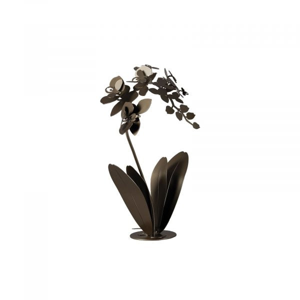 Orchidea - Pianta da soggiorno decorativa - Arti e Mestieri
