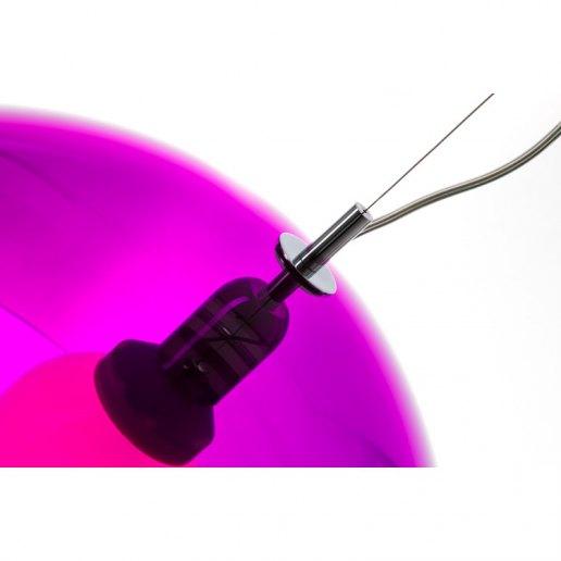 Viola