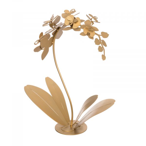 Orchidea - Pianta da soggiorno decorativa - Arti e Mestieri