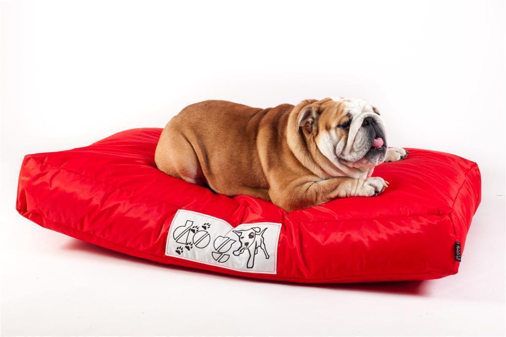 Pouf Dog L CUSCINO Grande Per Cane Tessuto Tecnico Antistrappo Imbottito Dim: 115x75x16 cm- Avalon